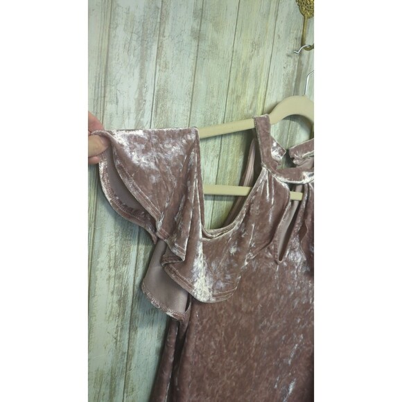 Blush Crushed Velvet Top Fairy Y2K Regencycore Ethereal Coquette Renaissance 1X - Picture 2 of 9